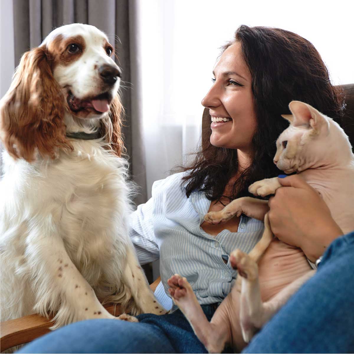Wholesale Pet Supplies at Great Lakes