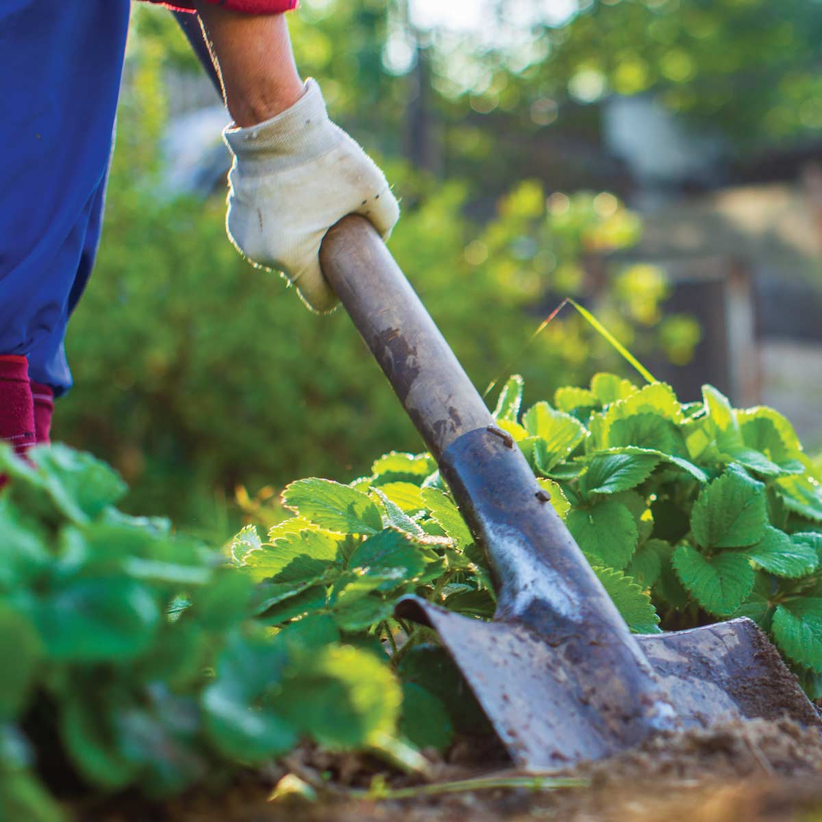 Great Lakes Wholesale: Your Go-To Destination for Wholesale Lawn and Garden Products