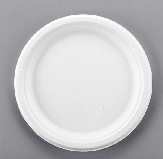 100ct 8-7/8'' READI FOAM PLATES