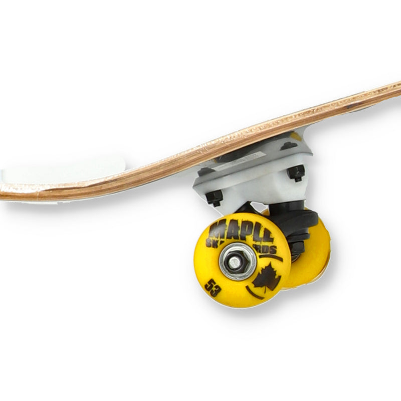 MAPLE 31'' MASTERS SERIES  SKATEBOARDS ASSORTMENT