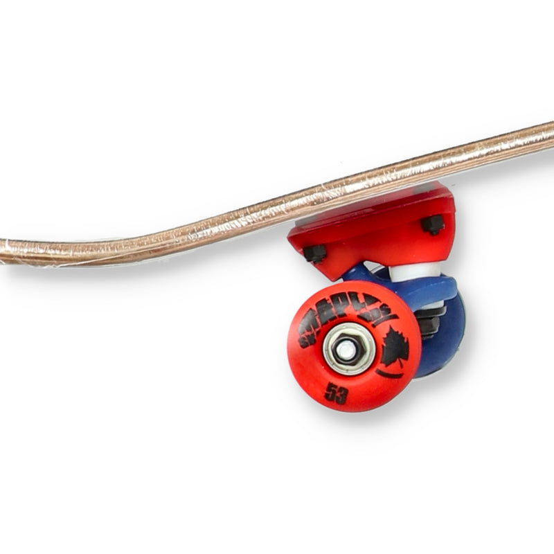 MAPLE 31'' MASTERS SERIES  SKATEBOARDS ASSORTMENT