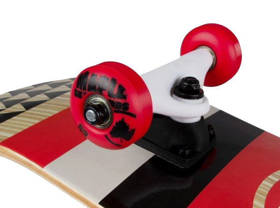 TGT MAPLE MASTERS 31'' COMPOSITE STRUCTURAL SKATEBOARD