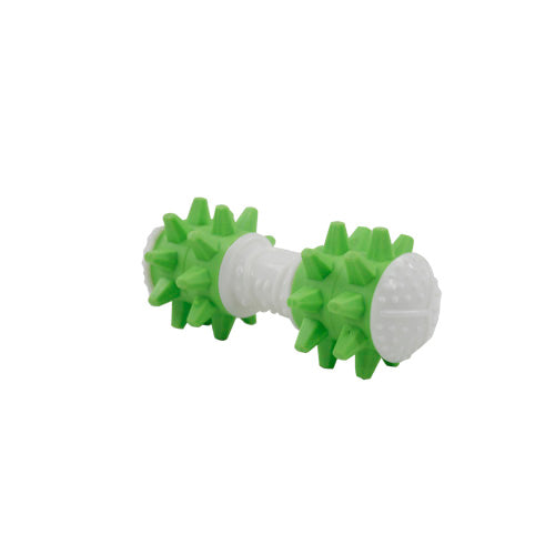 TEETH CLEANING SQUEAKY BONE
