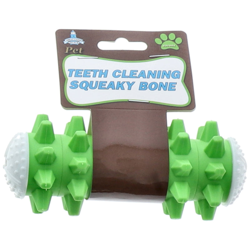TEETH CLEANING SQUEAKY BONE