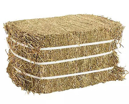 STANDLEE 50LB TIMOTHY GRASS COMPRESSED HAY BALE
