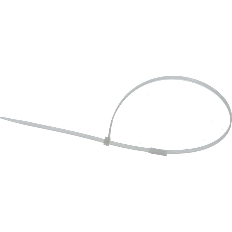 IIT 10 PC 20'' NYLON CABLE TIES