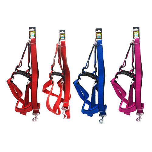 289409-BEAST HARNESS & LEASH