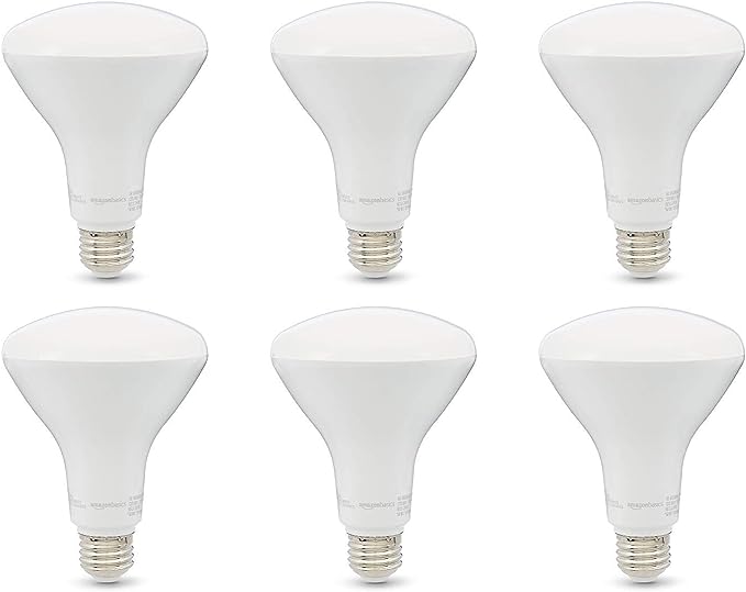 6pk11=65w BR30 LED BULB DAYLIGHT DIMMABLE