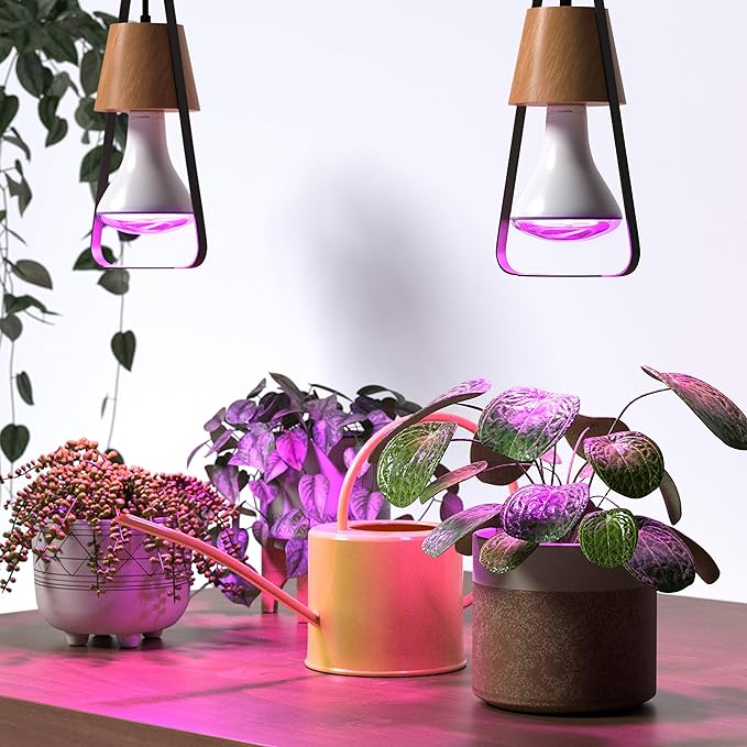 2PK 8W BR30 HOBBYIST GROW LIGHT
