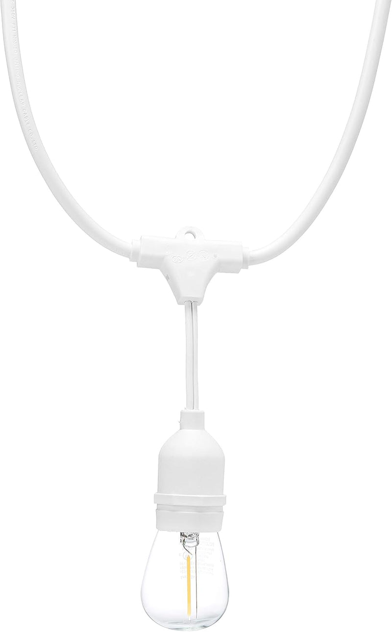 24' STRING LIGHT & 8 S14 LED BULBS