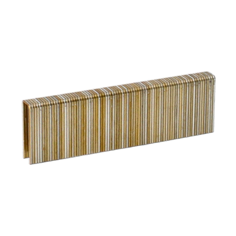 COMPLETE 5000CT CROWN STAPLES 3/8'' CROWN 1-1/4'' LONG