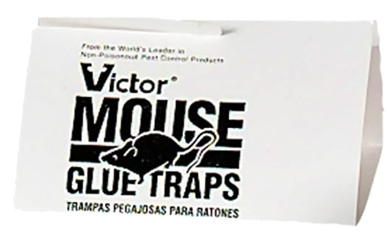 VICTOR 8x5'' HOLDFAST MOUSE GLUE TRAP (NO ONLINE SALES-NO ADVERTISING)