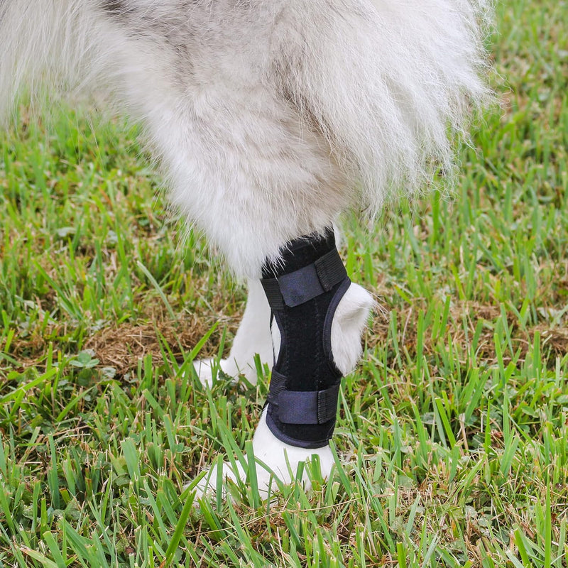 MIMU 2PK DOG LEG BRACE MEDIUM