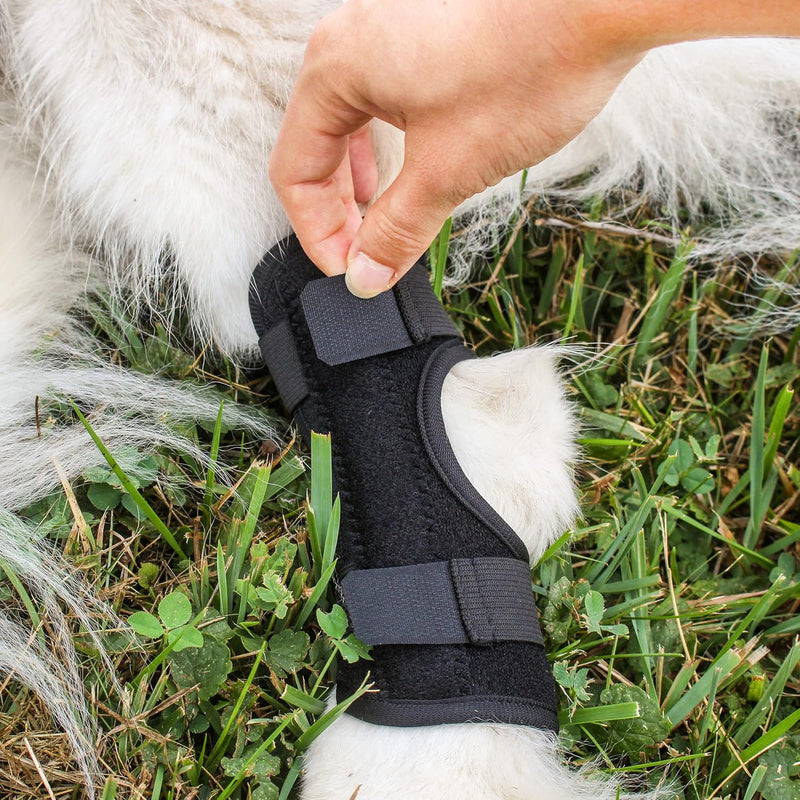 MIMU 2PK DOG LEG BRACE MEDIUM