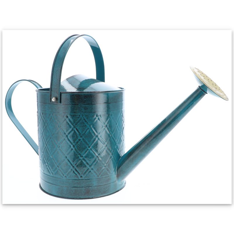 2gal METAL WATERING CAN BLUE MOUNTAIN WAVES