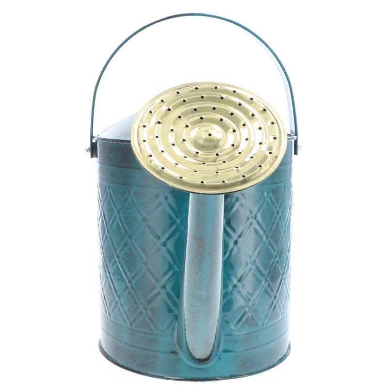 2gal METAL WATERING CAN BLUE MOUNTAIN WAVES