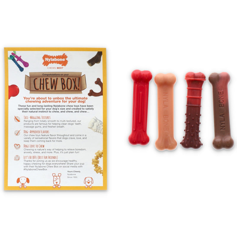 4PK NYLABONE EXTRA SMALL CHEW ASSORTMENT
