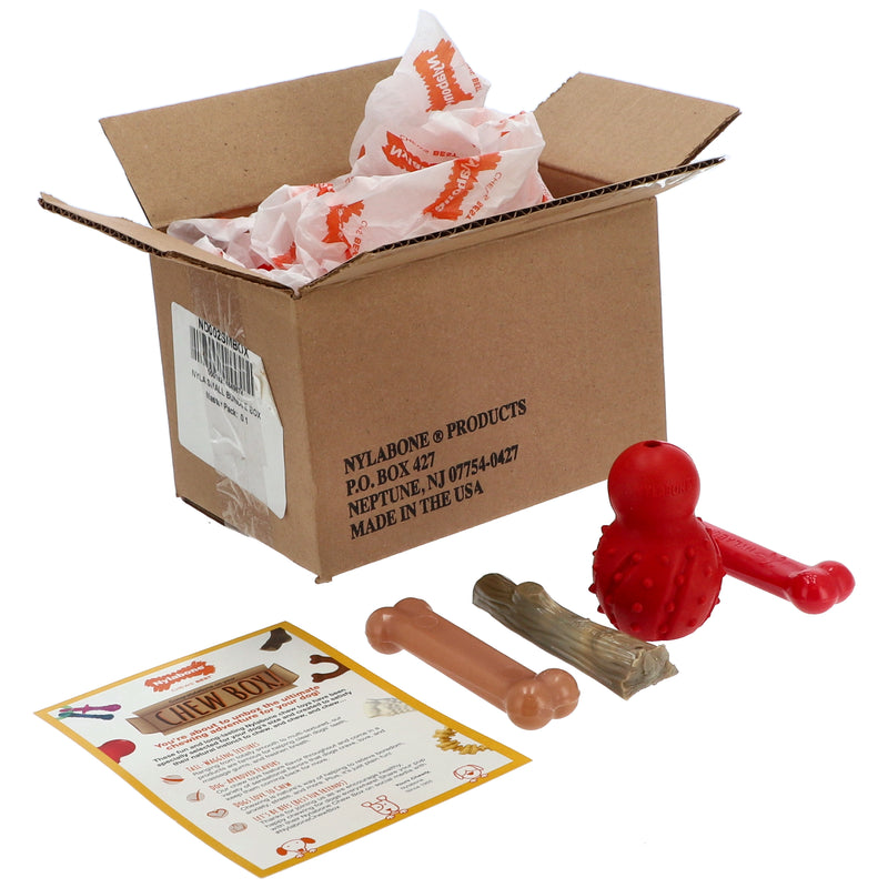 4PK NYLABONE SMALL CHEW ASSORTMENT