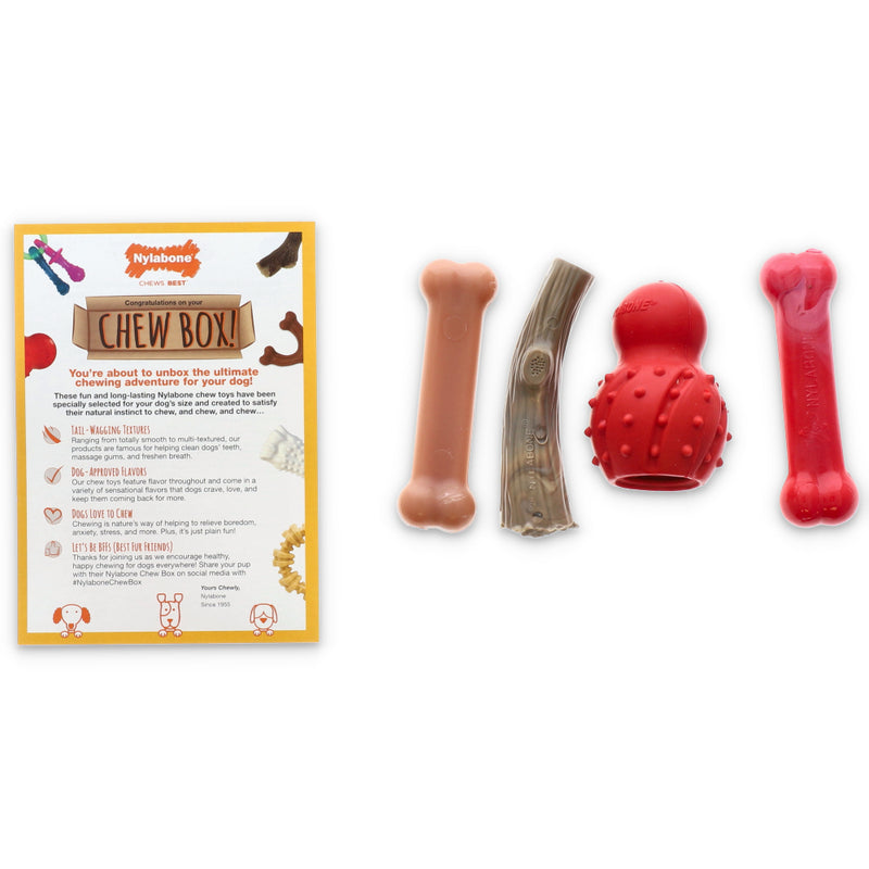 4PK NYLABONE SMALL CHEW ASSORTMENT