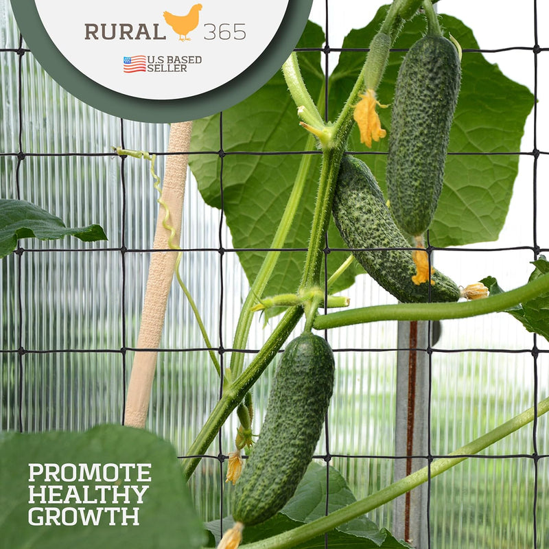RURAL365 2PK 3x3' GARDEN TRELLIS NETTING WITH 8 HOOKS