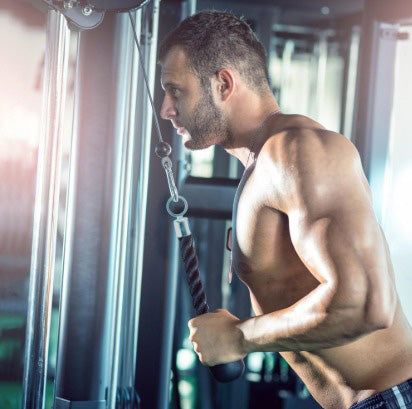 BRYBELLY SINGLE GRIP TRICEP ROPE