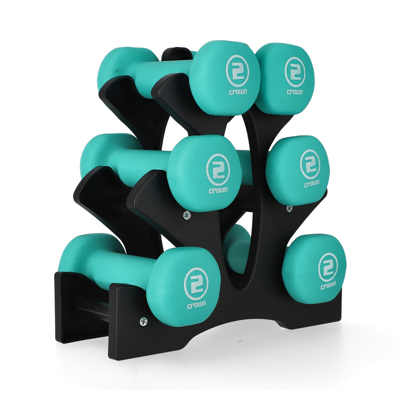 WEIGHT STORAGE RACK HOLDS 6 HAND WEIGHTS