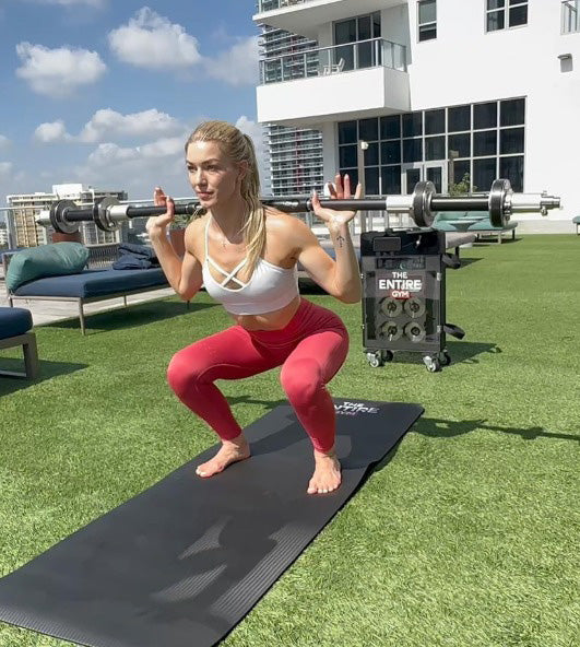 ENTIRE GYM PORTABLE HOME FITNESS CENTER