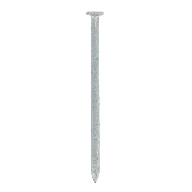 TREE ISLAND 50PC COMMON NAILS 3'' 10D HOT DIPPED GALVANIZED