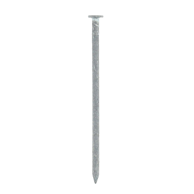 TREE ISLAND 60PC COMMON NAILS 3-1/4'' 12D HOT DIPPED GALVANIZED