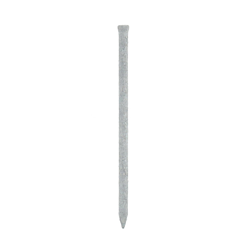 TREE ISLAND 70PC COMMON NAILS 3'' 10D HOT DIPPED GALVANIZED
