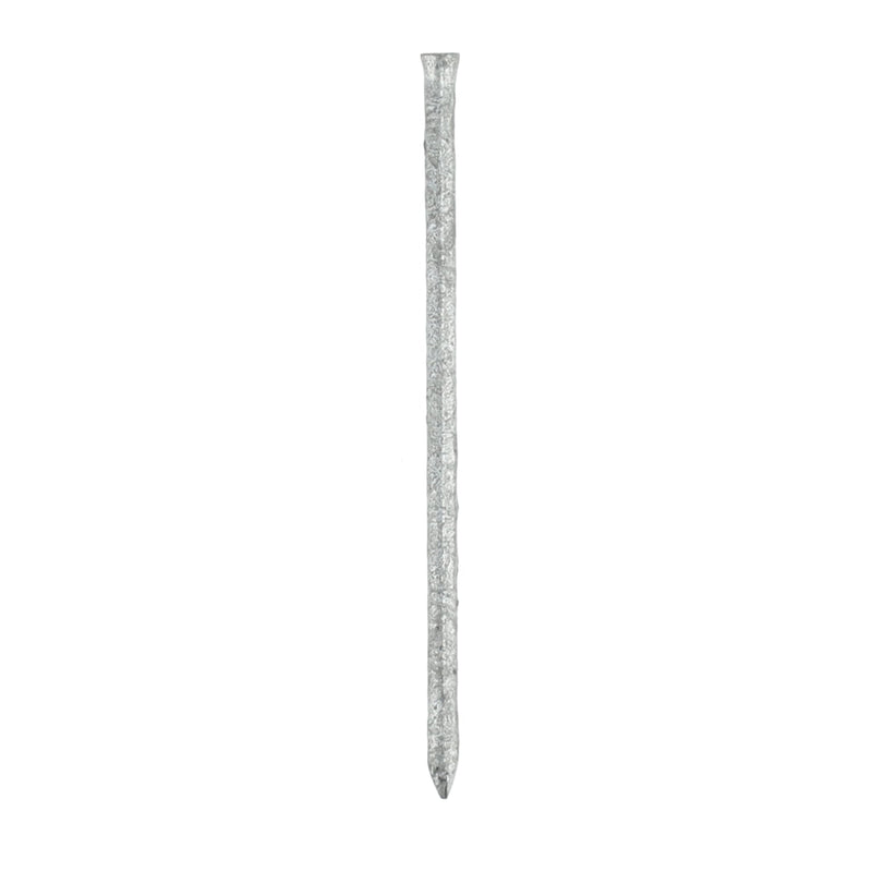 TREE ISLAND 50PC COMMON NAILS 3-1/2'' 16D HOT DIPPED GALVANIZED